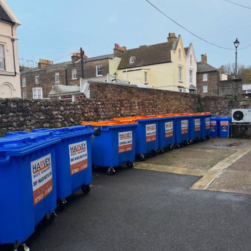 Image representing School Waste and Recycling from Harvey Waste